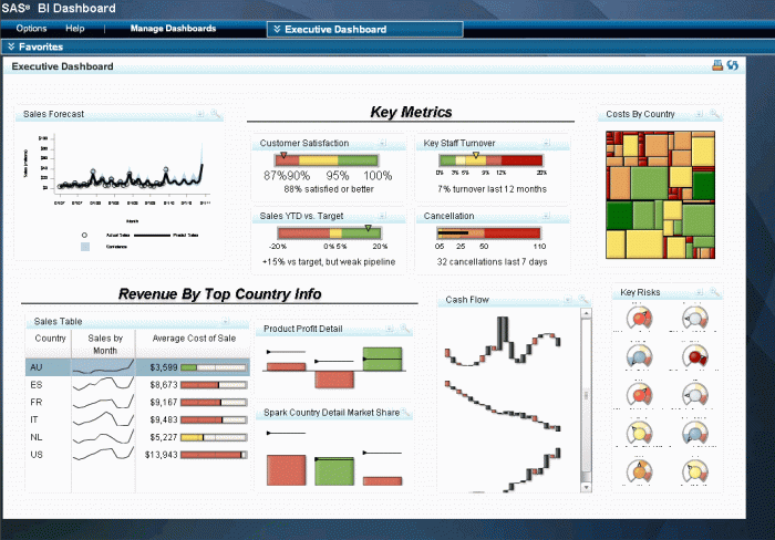 How to customize reports in SAS business intelligence?