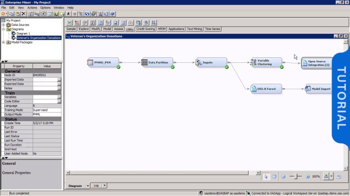 Sas analytics bi