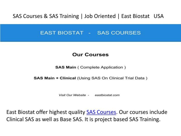 How to train employees on SAS business intelligence?